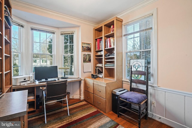 office area featuring ornamental molding and dark hardwood / wood-style floors