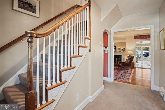 stairway featuring carpet flooring