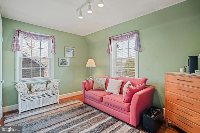 living room with hardwood / wood-style flooring, a healthy amount of sunlight, and track lighting