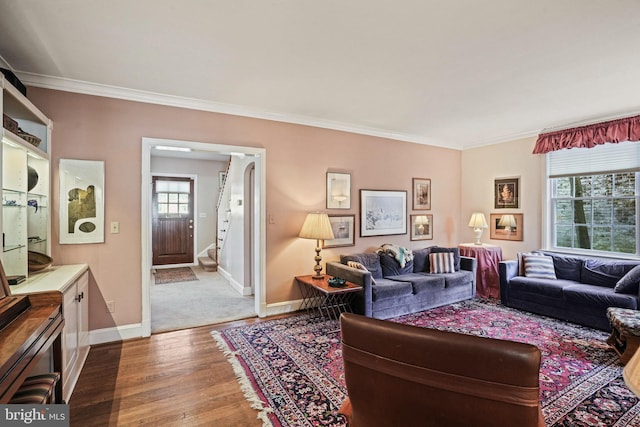 living room with hardwood / wood-style flooring and ornamental molding