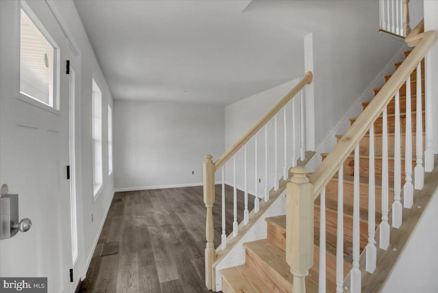 entrance foyer with hardwood / wood-style flooring and a wealth of natural light