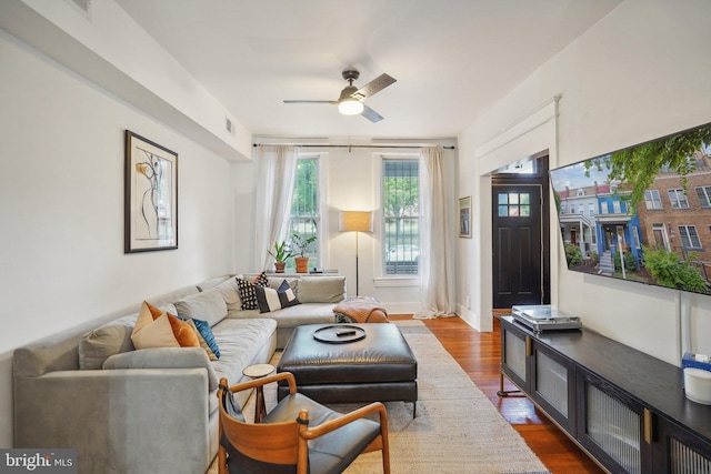 living room with ceiling fan and wood-type flooring