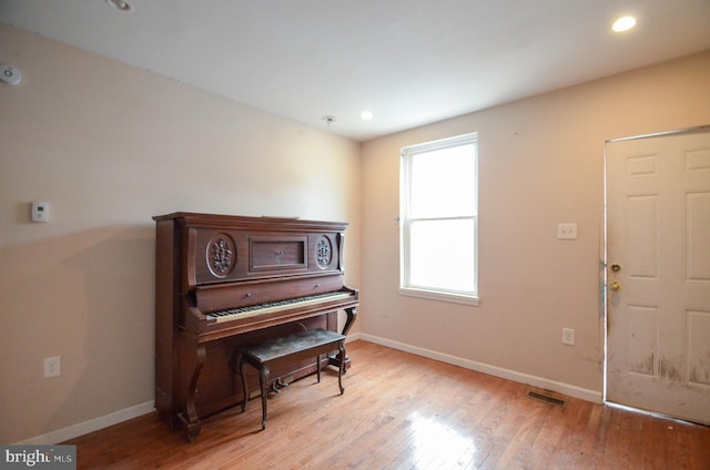 miscellaneous room featuring light wood-type flooring and a healthy amount of sunlight