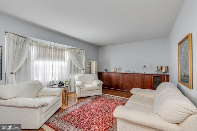 living room with wood-type flooring