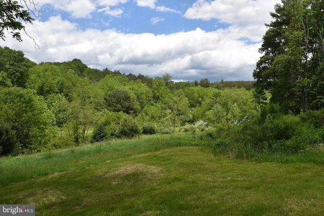 view of landscape