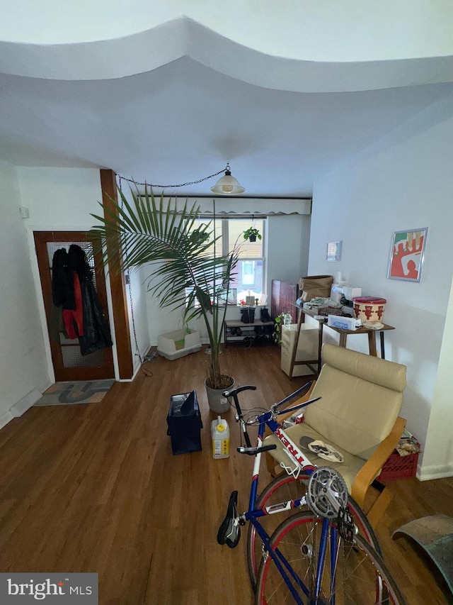 interior space featuring hardwood / wood-style floors