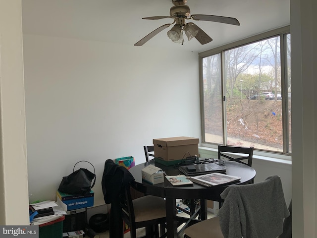 dining area with ceiling fan