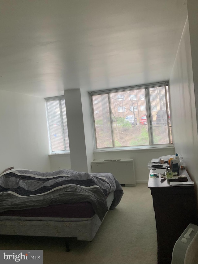 bedroom with radiator and light colored carpet