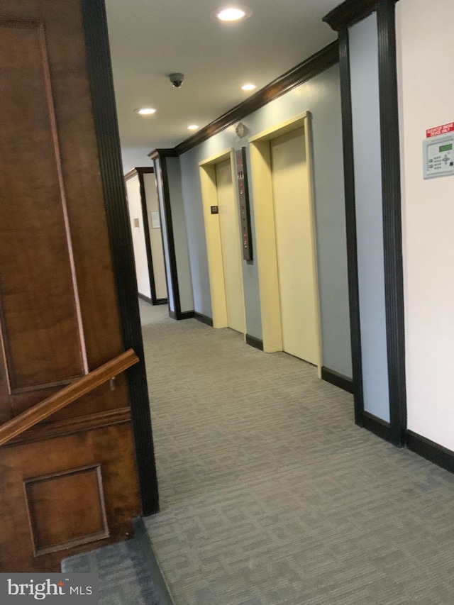 corridor with carpet floors, ornamental molding, and elevator