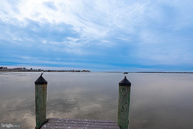 dock area with a water view