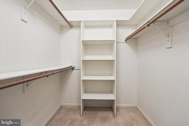 walk in closet with light colored carpet