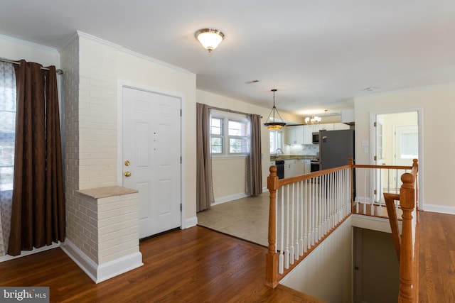 entryway featuring dark wood-type flooring, ornamental molding, and sink