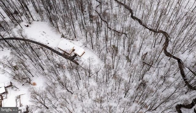 view of snowy aerial view