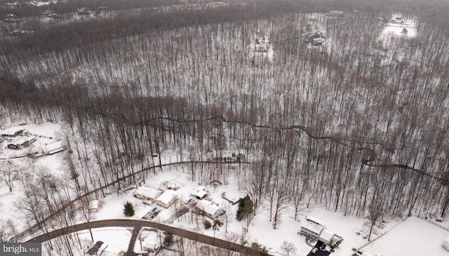 view of snowy aerial view