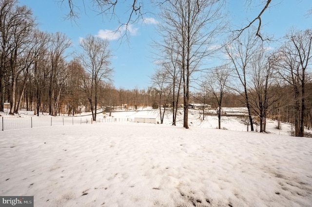 view of snowy yard