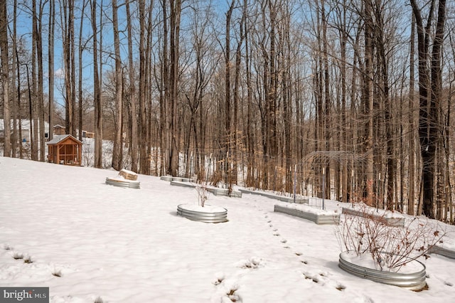 view of yard layered in snow