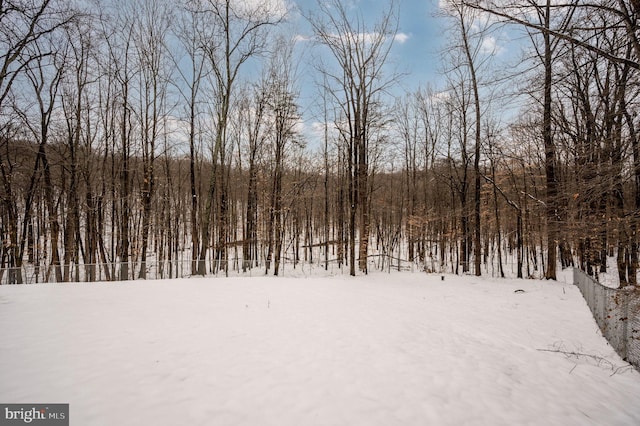 view of yard layered in snow