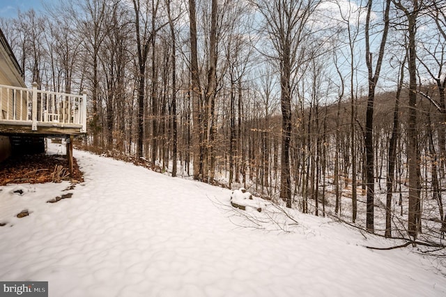 view of yard covered in snow