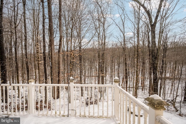 view of snowy yard