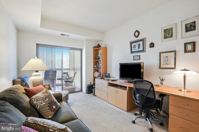 office with light colored carpet and a textured ceiling