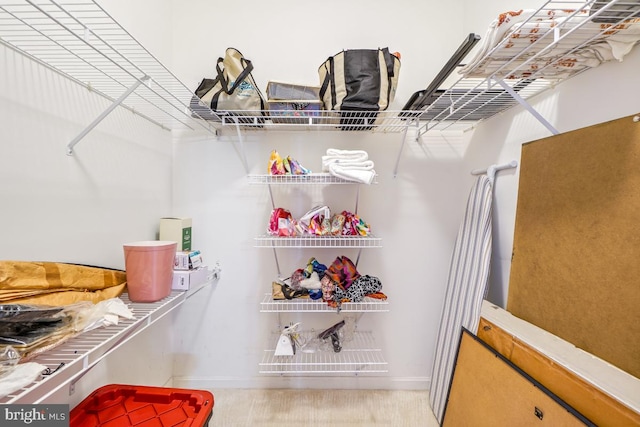 view of spacious closet