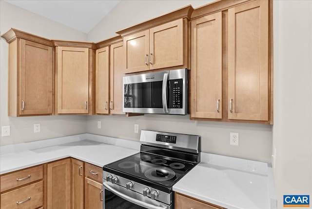 kitchen featuring light stone counters, appliances with stainless steel finishes, and vaulted ceiling