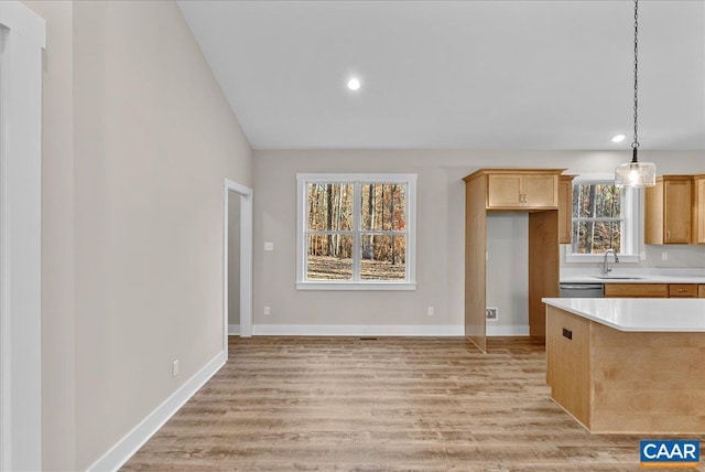 kitchen with decorative light fixtures, plenty of natural light, sink, and stainless steel dishwasher