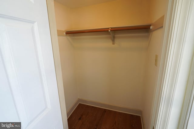 spacious closet featuring wood-type flooring