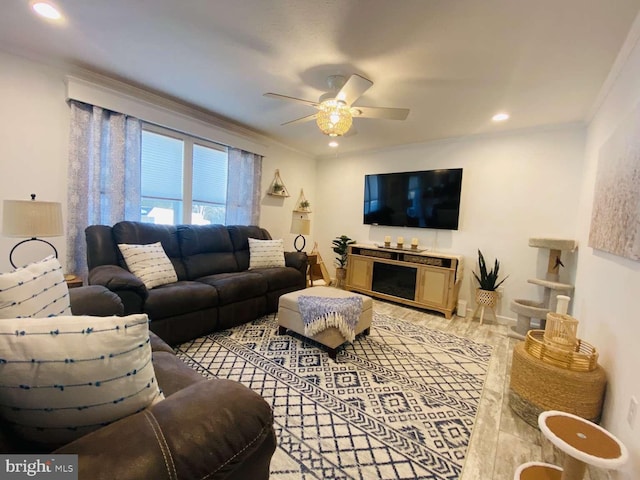 living room featuring ceiling fan, ornamental molding, and light wood-type flooring