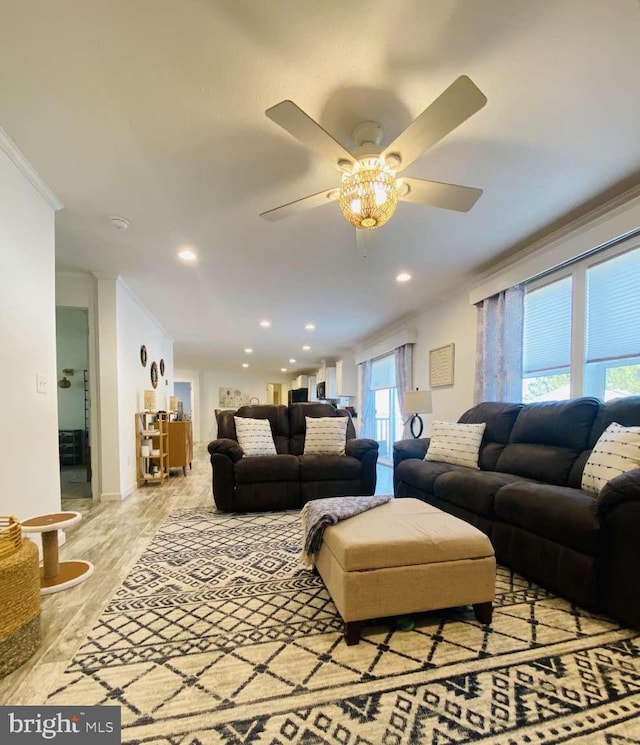 living room featuring ceiling fan, ornamental molding, and light hardwood / wood-style floors