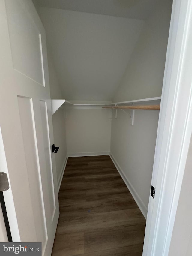 walk in closet featuring lofted ceiling and dark hardwood / wood-style floors