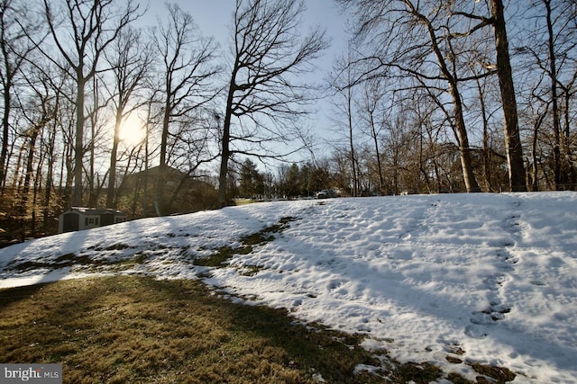 view of snowy yard