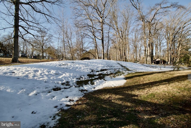 view of snowy yard