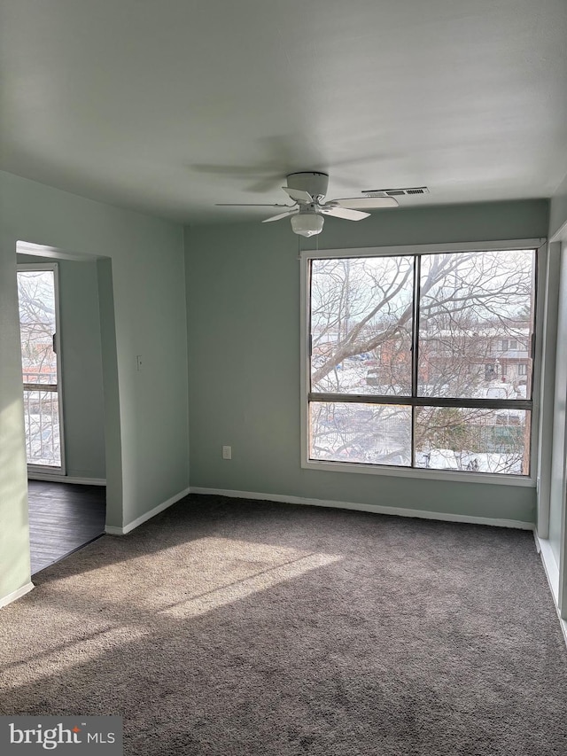 unfurnished room featuring ceiling fan and carpet