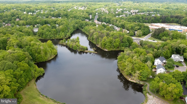 birds eye view of property featuring a forest view and a water view
