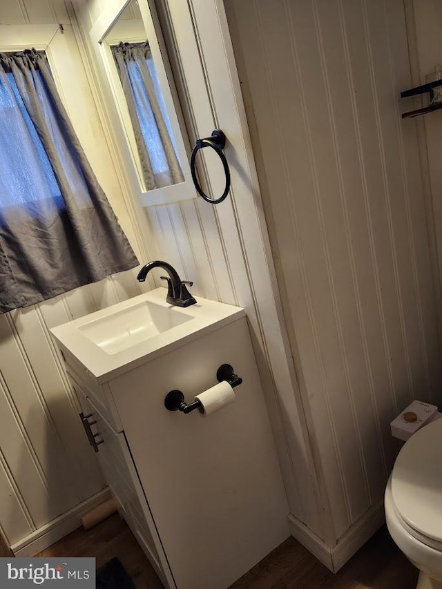 bathroom with toilet and vanity