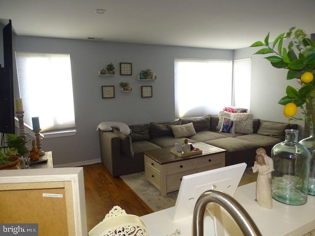 living room with wood-type flooring