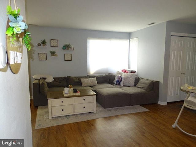 living room featuring hardwood / wood-style floors