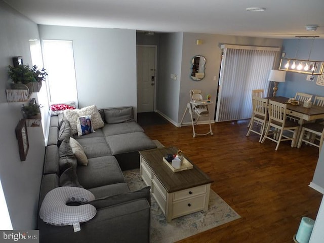 living room with dark hardwood / wood-style flooring