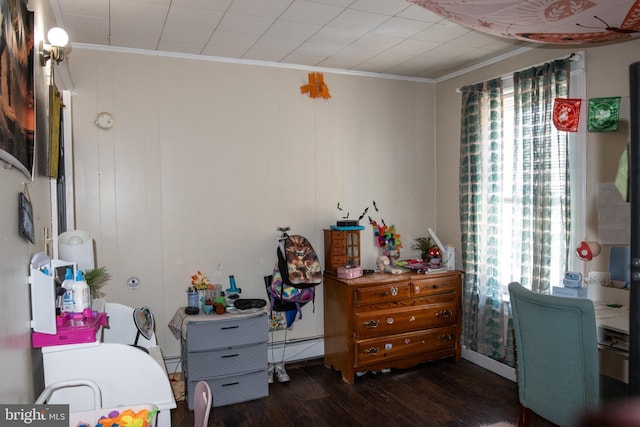 office area featuring crown molding and dark hardwood / wood-style flooring