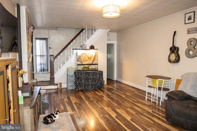 living room featuring ornamental molding and dark hardwood / wood-style floors