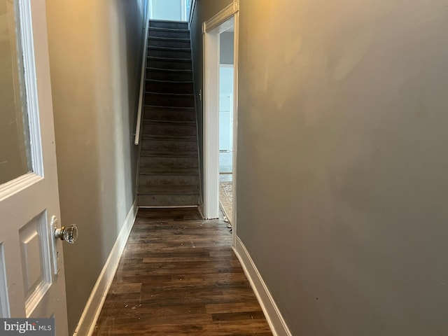 interior space with dark hardwood / wood-style floors