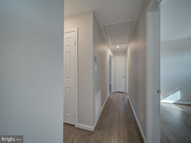 hall featuring dark hardwood / wood-style floors