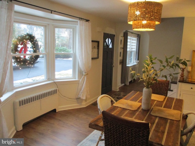 dining area featuring radiator, a wealth of natural light, a chandelier, and dark hardwood / wood-style flooring