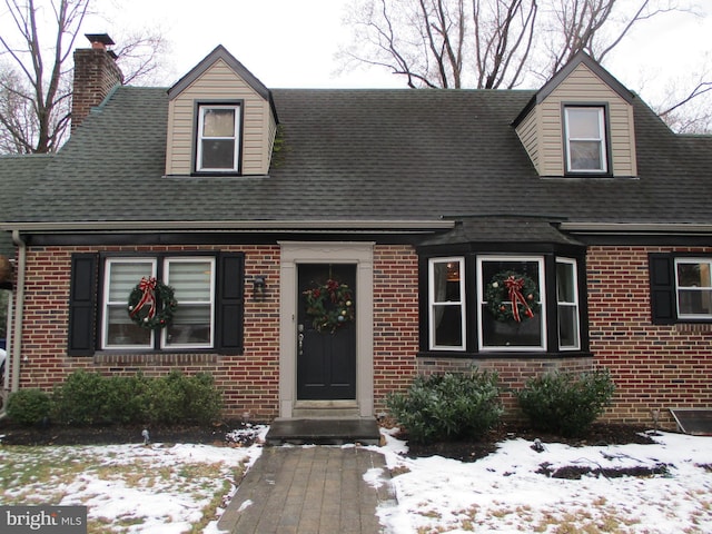 view of cape cod house