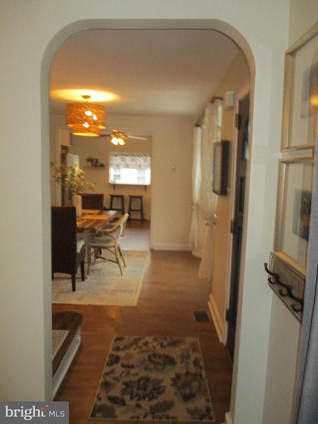 hallway featuring dark hardwood / wood-style floors