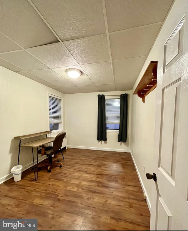 office featuring a paneled ceiling and hardwood / wood-style flooring