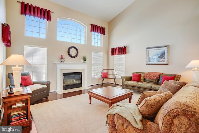 living room featuring hardwood / wood-style flooring and a high ceiling