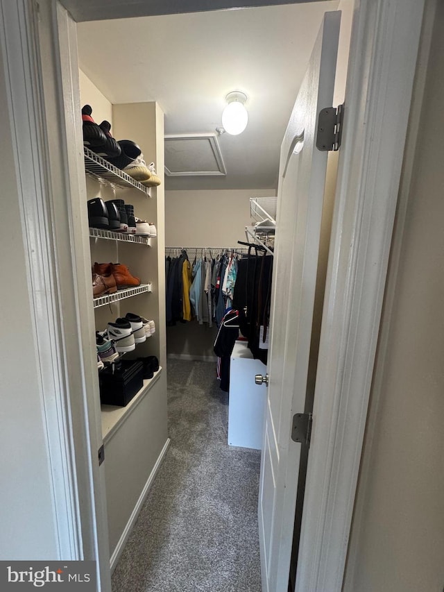 spacious closet with carpet