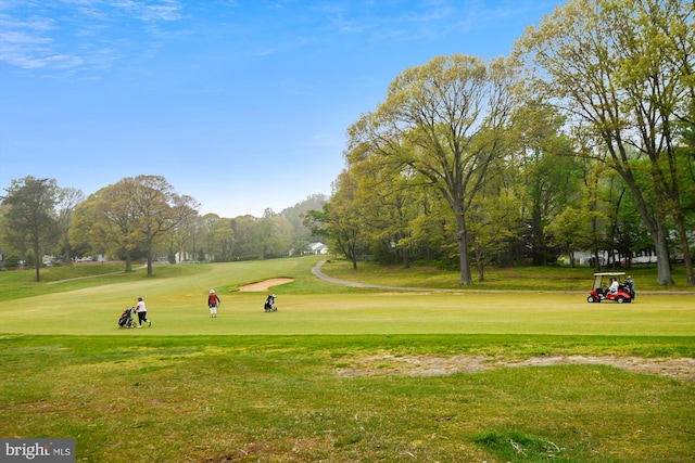 view of property's community featuring a lawn